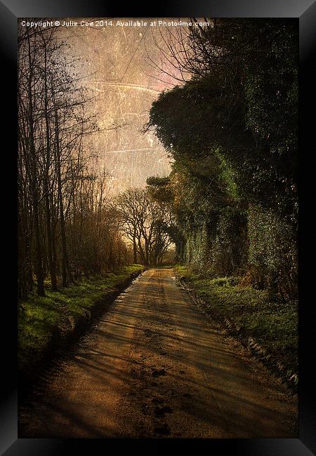 Pond Hills Road 2 Framed Print by Julie Coe