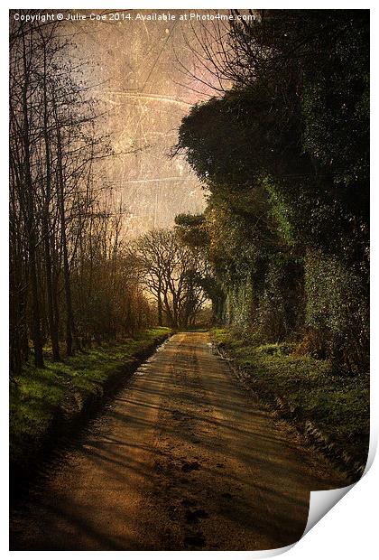 Pond Hills Road 2 Print by Julie Coe