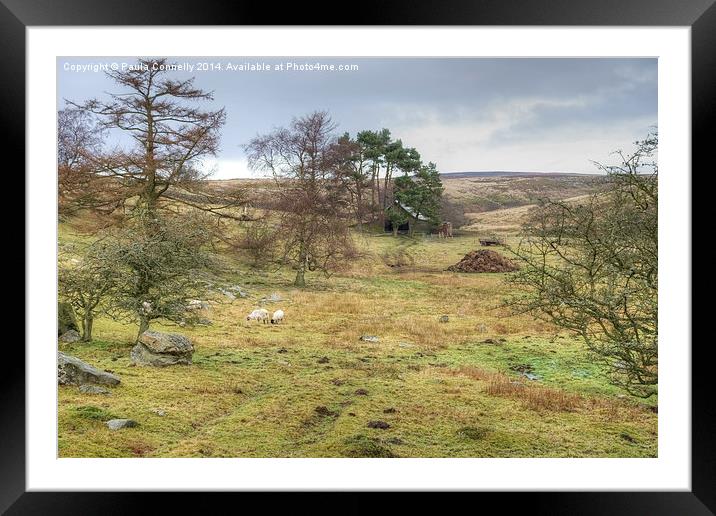 Tranquil scene on the North York Moors Framed Mounted Print by Paula Connelly