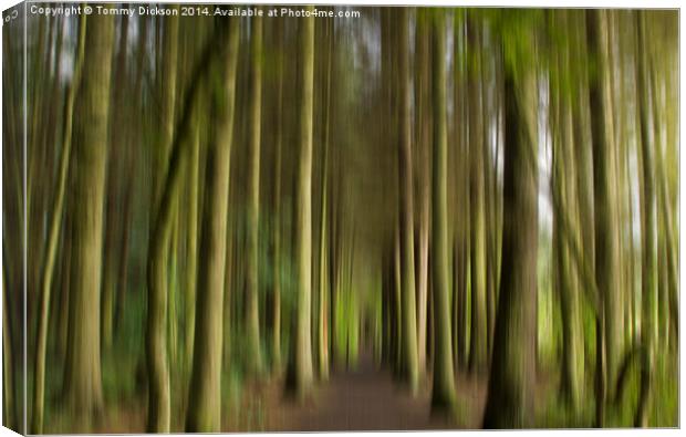 Forest Path Abstract Canvas Print by Tommy Dickson