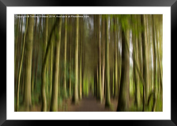Forest Path Abstract Framed Mounted Print by Tommy Dickson