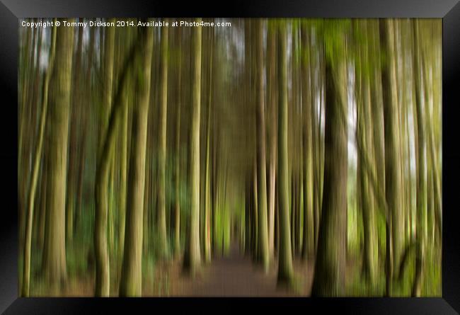 Forest Path Abstract Framed Print by Tommy Dickson