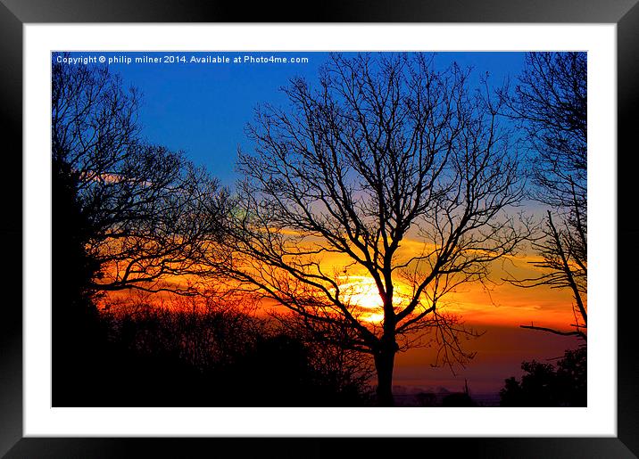 Misty Sunrise Through The Trees Framed Mounted Print by philip milner