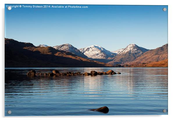 Arrochar Alps Reflected on Loch Arklet Acrylic by Tommy Dickson