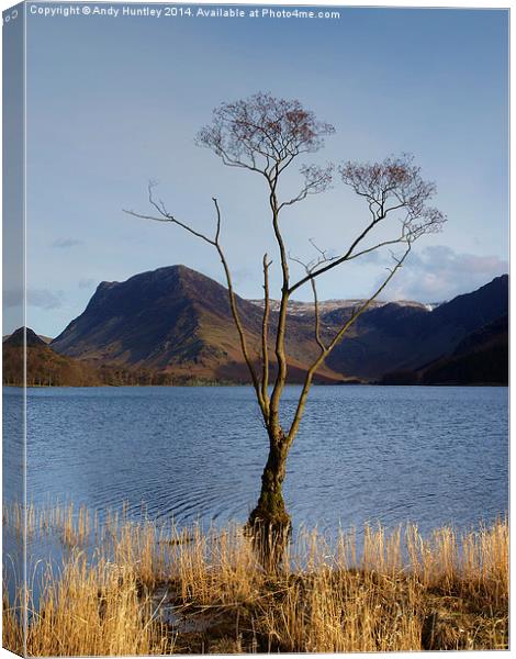 Tree in Lake Canvas Print by Andy Huntley