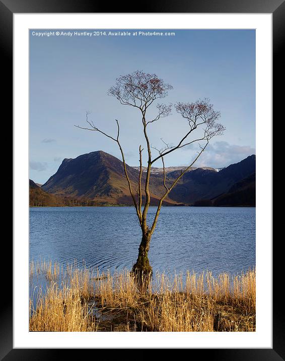 Tree in Lake Framed Mounted Print by Andy Huntley