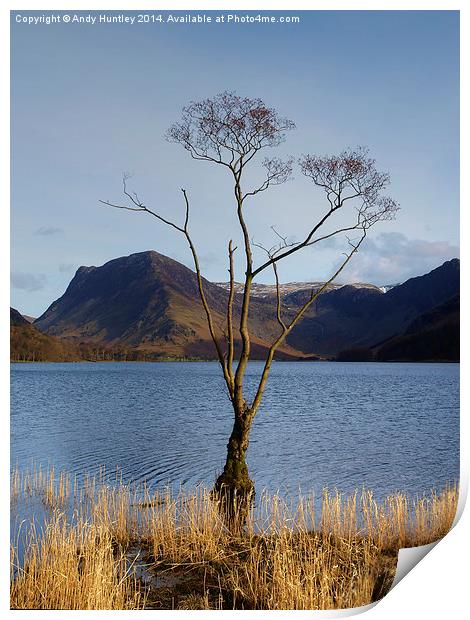 Tree in Lake Print by Andy Huntley