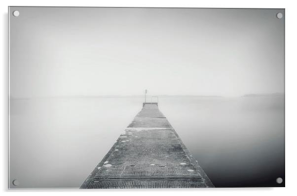 Into the mist Acrylic by Andreas Hartmann