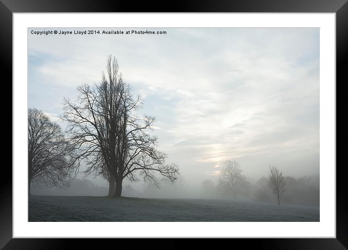 Freezing Fog in Admirals Park Framed Mounted Print by J Lloyd