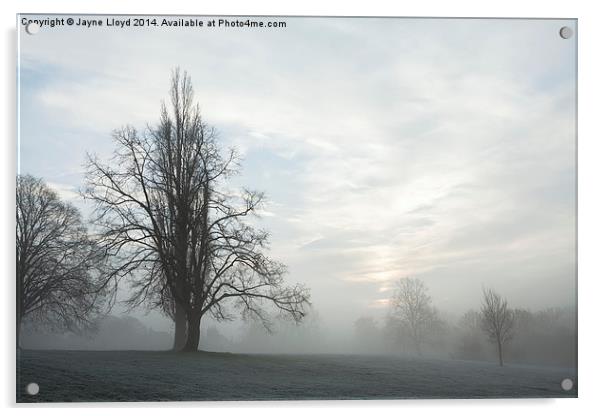 Freezing Fog in Admirals Park Acrylic by J Lloyd