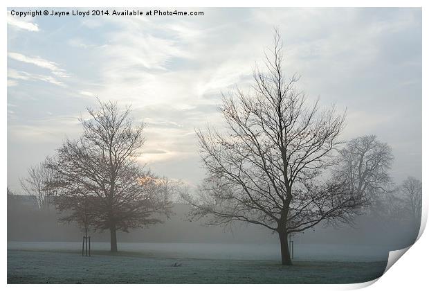 Freezing Fog in Admirals Park Print by J Lloyd