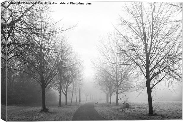 Freezing Fog in Admirals Park Canvas Print by J Lloyd