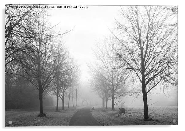 Freezing Fog in Admirals Park Acrylic by J Lloyd