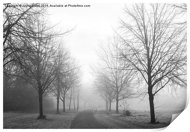 Freezing Fog in Admirals Park Print by J Lloyd