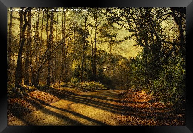 Pond Hills Road 4 Framed Print by Julie Coe