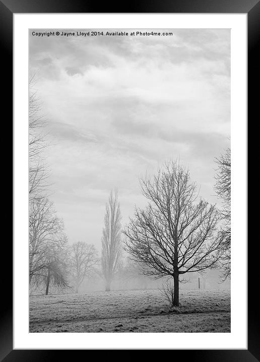 Freezing Fog in Admirals Park Framed Mounted Print by J Lloyd