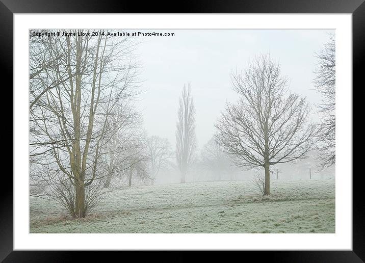 Freezing Fog in Admirals Park Framed Mounted Print by J Lloyd