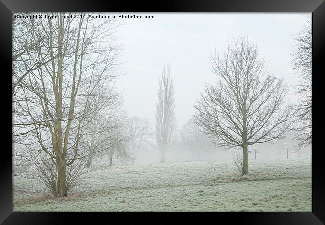 Freezing Fog in Admirals Park Framed Print by J Lloyd