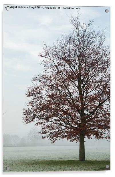Freezing Fog in Admirals Park Acrylic by J Lloyd