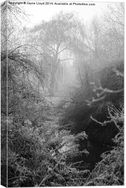 Fog and frost by the River Can Canvas Print by J Lloyd