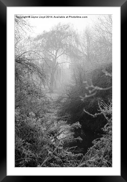 Fog and frost by the River Can Framed Mounted Print by J Lloyd