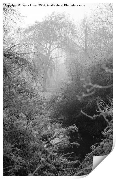 Fog and frost by the River Can Print by J Lloyd