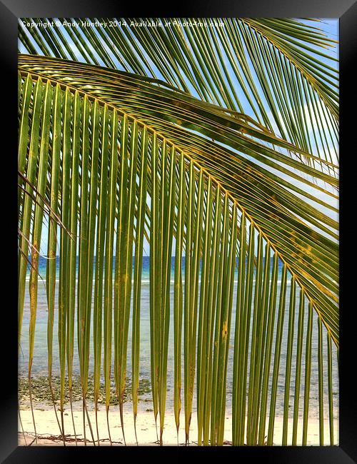 Palm Beach Framed Print by Andy Huntley