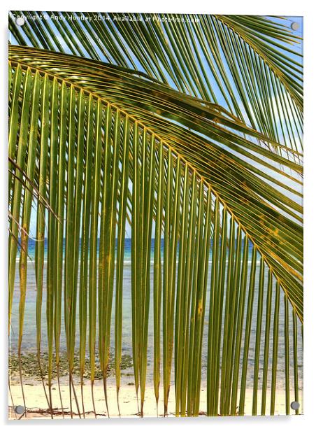 Palm Beach Acrylic by Andy Huntley