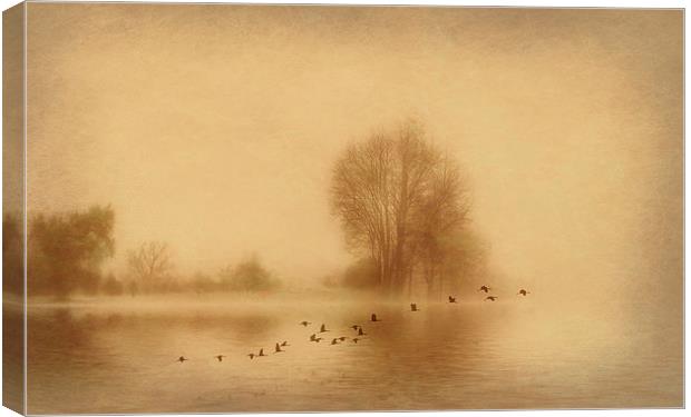 Mist over Wansbeck Canvas Print by Richie Fairlamb