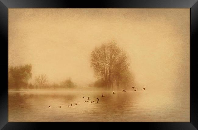 Mist over Wansbeck Framed Print by Richie Fairlamb