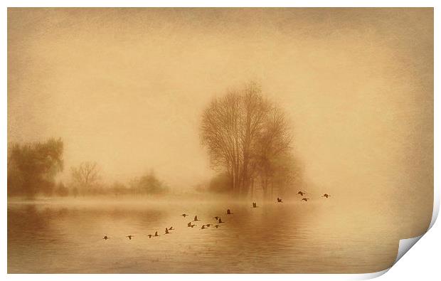 Mist over Wansbeck Print by Richie Fairlamb