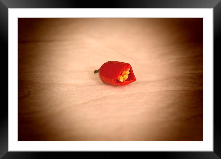 Red Chilli Pepper Framed Mounted Print by Michael Bolton