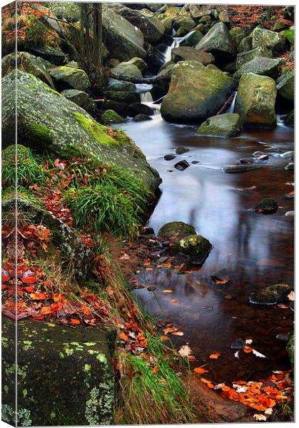 Autumn Colours in Padley Gorge Canvas Print by Darren Galpin