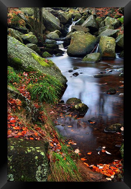 Autumn Colours in Padley Gorge Framed Print by Darren Galpin