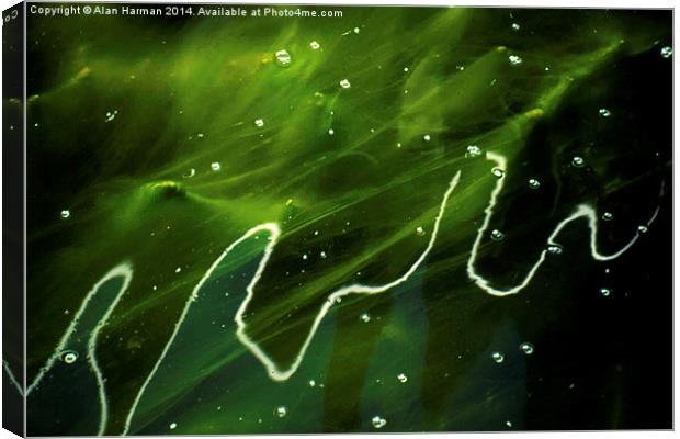 Green Algae and Water Canvas Print by Alan Harman