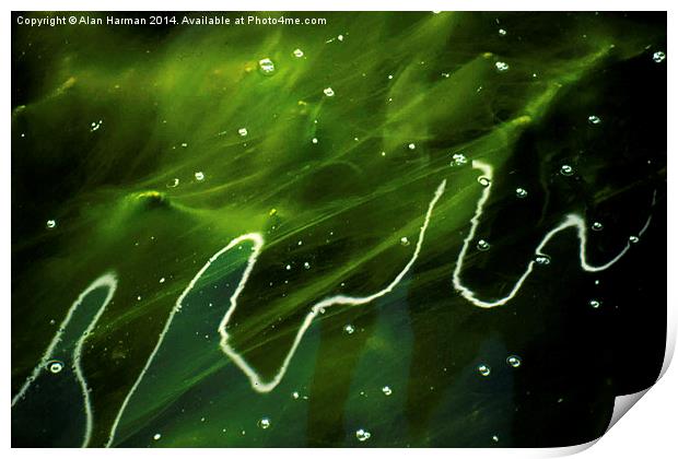 Green Algae and Water Print by Alan Harman