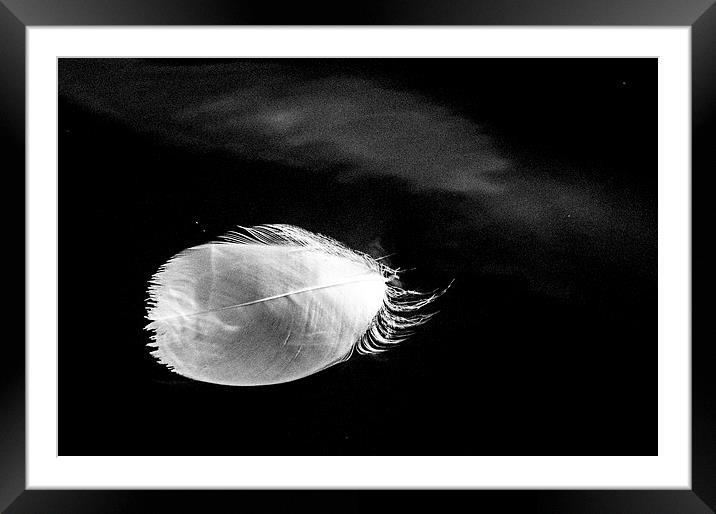 Floating Feather Framed Mounted Print by