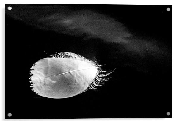 Floating Feather Acrylic by
