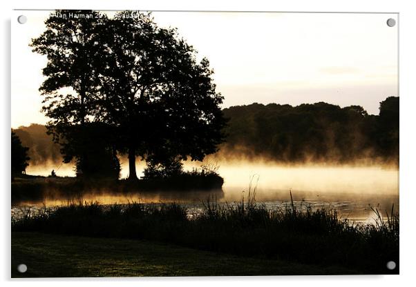 Morning Lake Scene Acrylic by Alan Harman