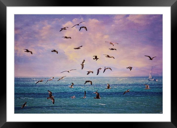 Gulls at Sunrise Framed Mounted Print by Chris Lord