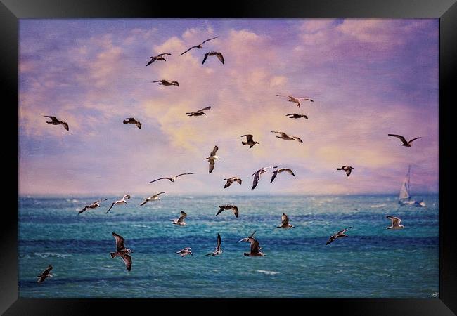 Gulls at Sunrise Framed Print by Chris Lord