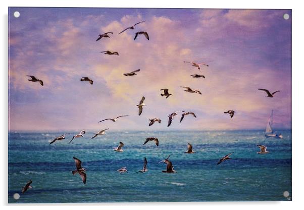 Gulls at Sunrise Acrylic by Chris Lord