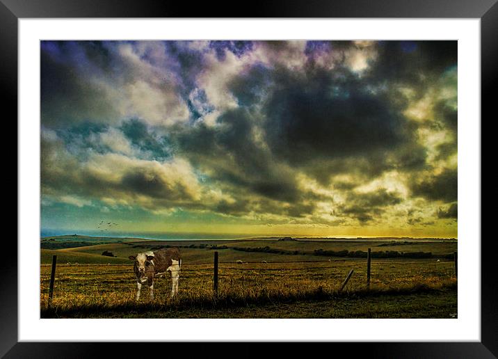 Up on the Downs Again Framed Mounted Print by Chris Lord
