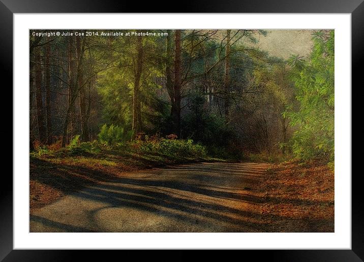 Pond Hills Road 3 Framed Mounted Print by Julie Coe