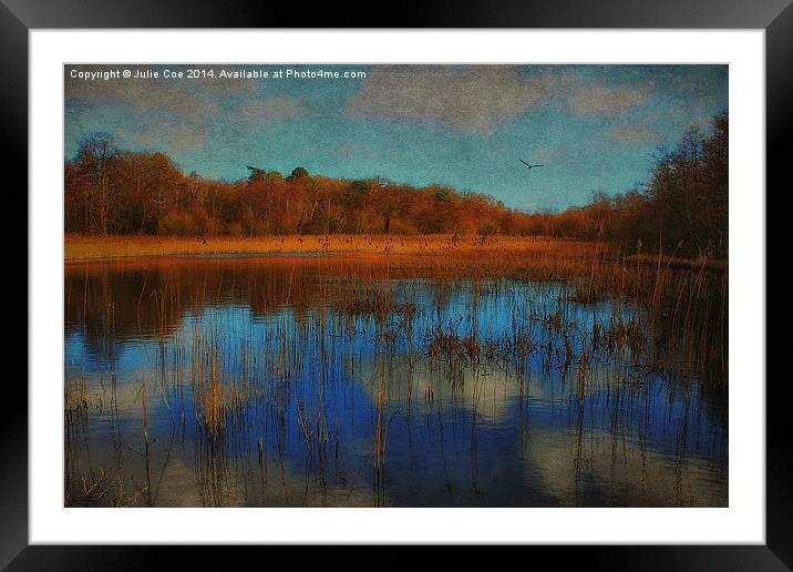 Selbrigg Pond Framed Mounted Print by Julie Coe