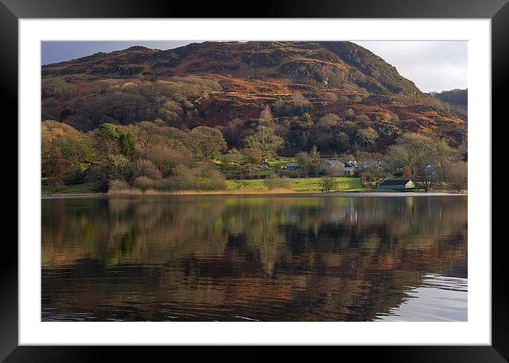 Reflections in the lake Framed Mounted Print by Steven Plowman