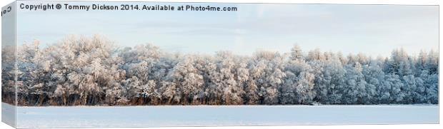 Enchanted Winter Wonderland Canvas Print by Tommy Dickson