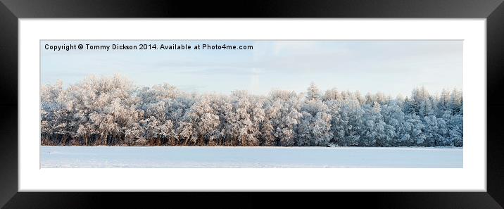 Enchanted Winter Wonderland Framed Mounted Print by Tommy Dickson