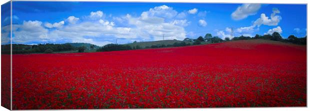 Poppy Field Canvas Print by Ian Moses