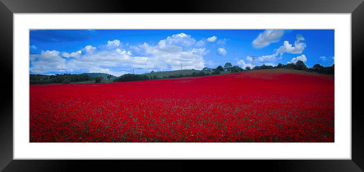 Poppy Field Framed Mounted Print by Ian Moses